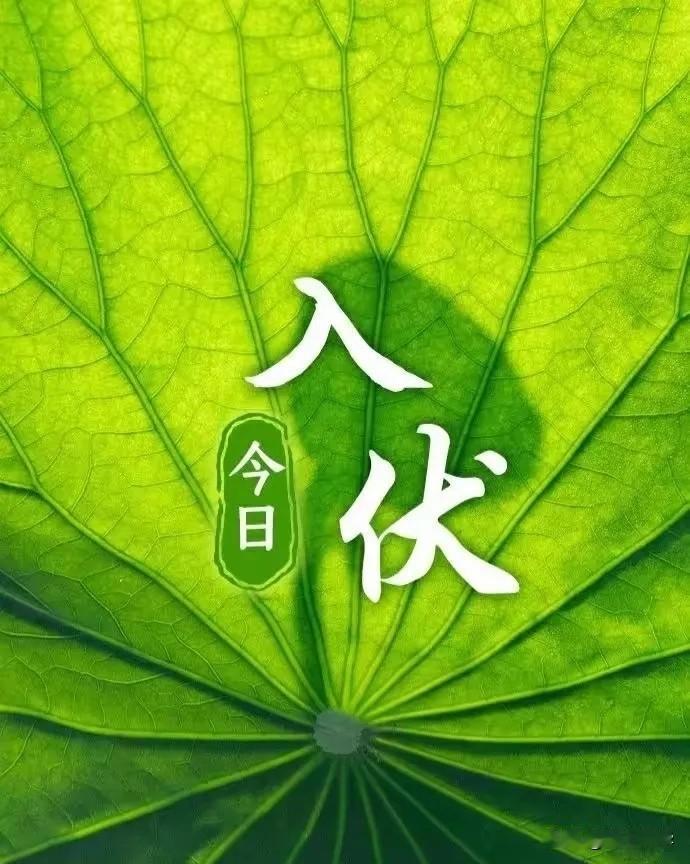 今日入伏！上午9点56分正式进入伏天。俗话说：“早入伏，凉飕飕；晚入伏，热死牛”