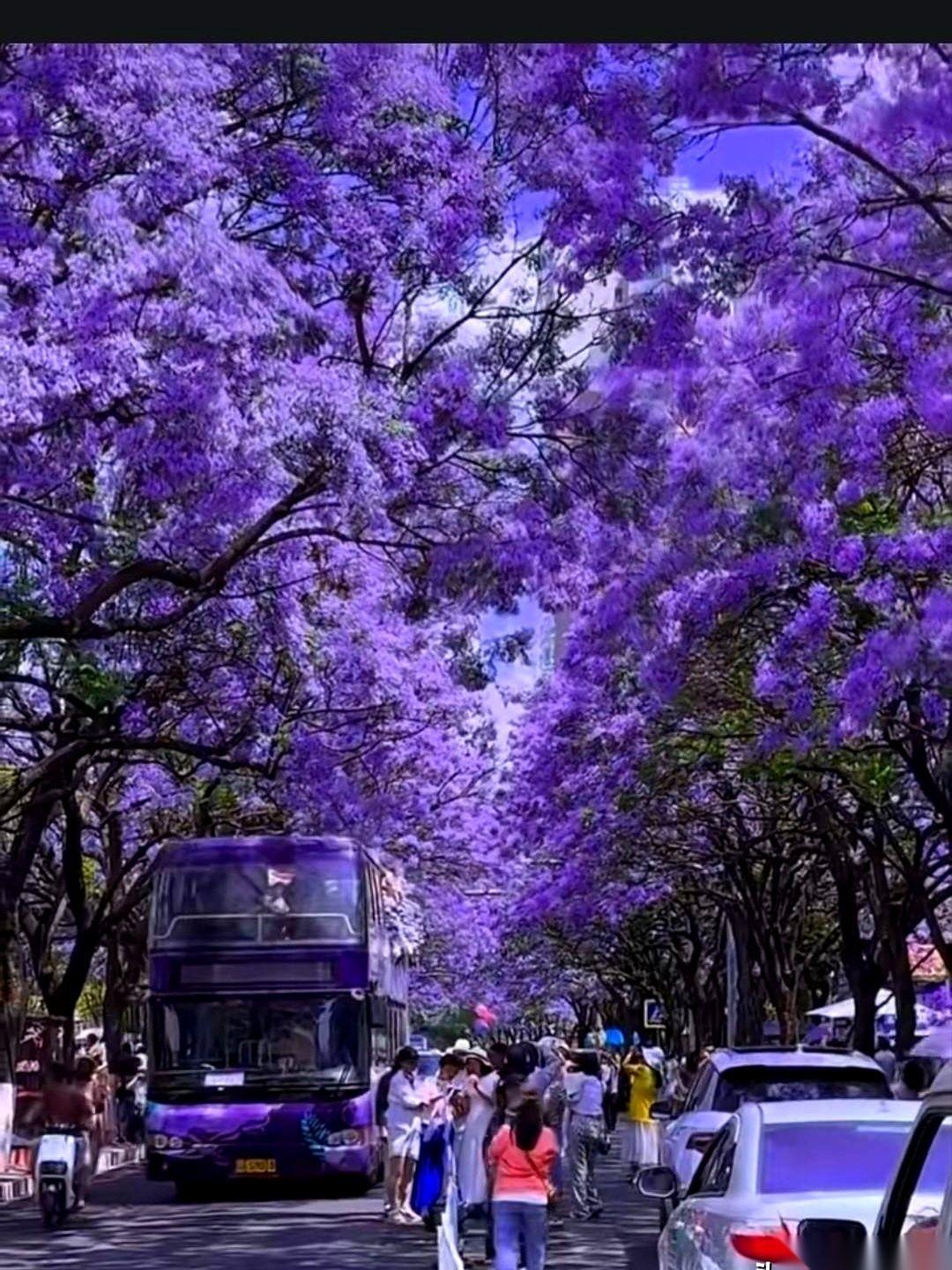 深圳一套房，两年，直接把人打回原形。不，比原形还惨。半辈子的积蓄，三百多万，