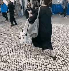 打人这个女人太狠了，不但拉住人家的头发，还用还用拳头，去捶人家的后颈窝，这个