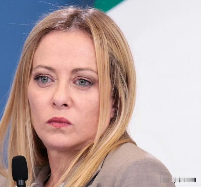 乔治娅·梅洛尼表示：“欧洲正经历一场持续的伊斯兰化进程，这与我们文明的价值观相去