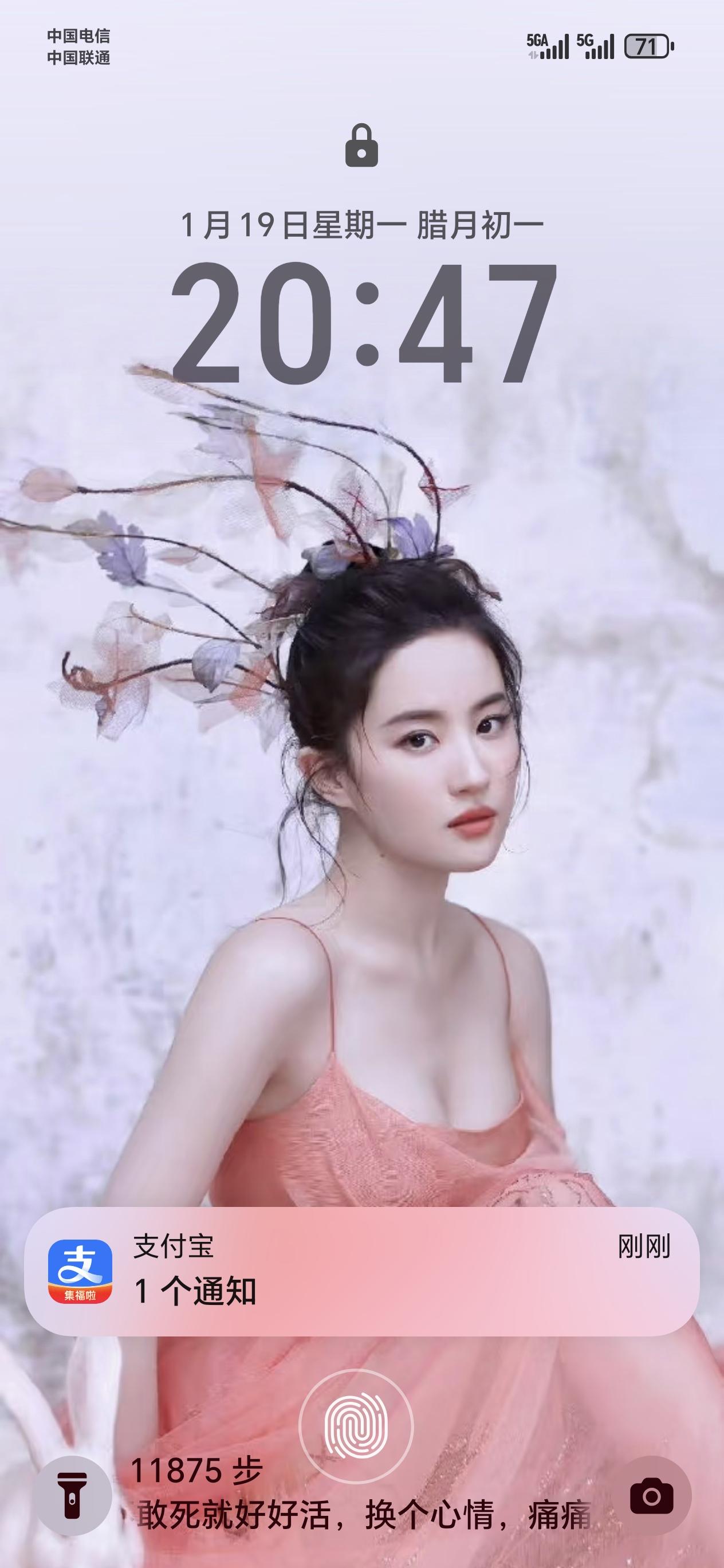 刘亦菲超美的照片有哪些很喜欢的一张刘亦菲图片，感觉很有创意，有广寒宫玉兔的感觉[