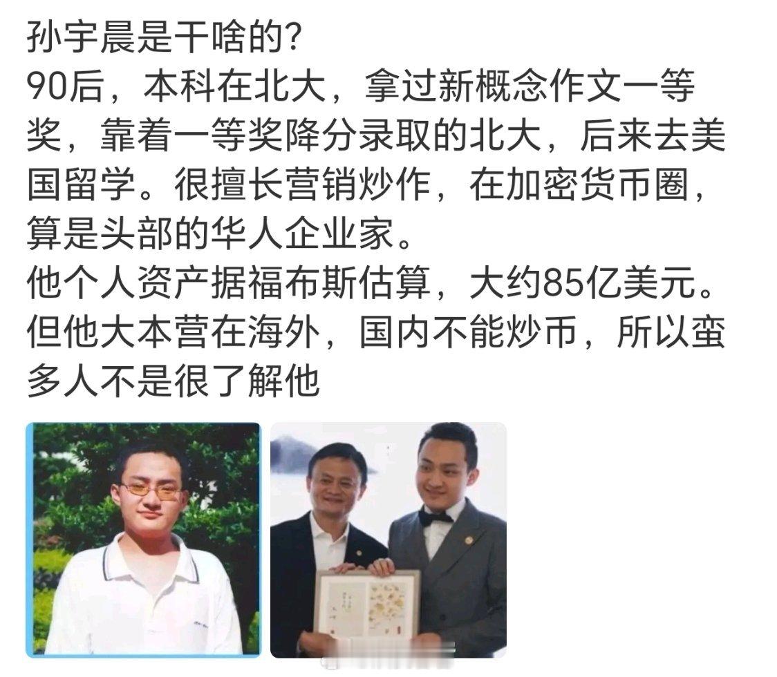 孙宇晨，何许人也​​​