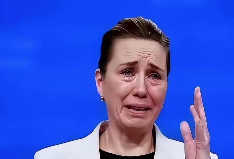 丹麦其实还有一个办法，那就是全民皆兵，一致对外！丹麦现役的士兵大概有2.3万人。