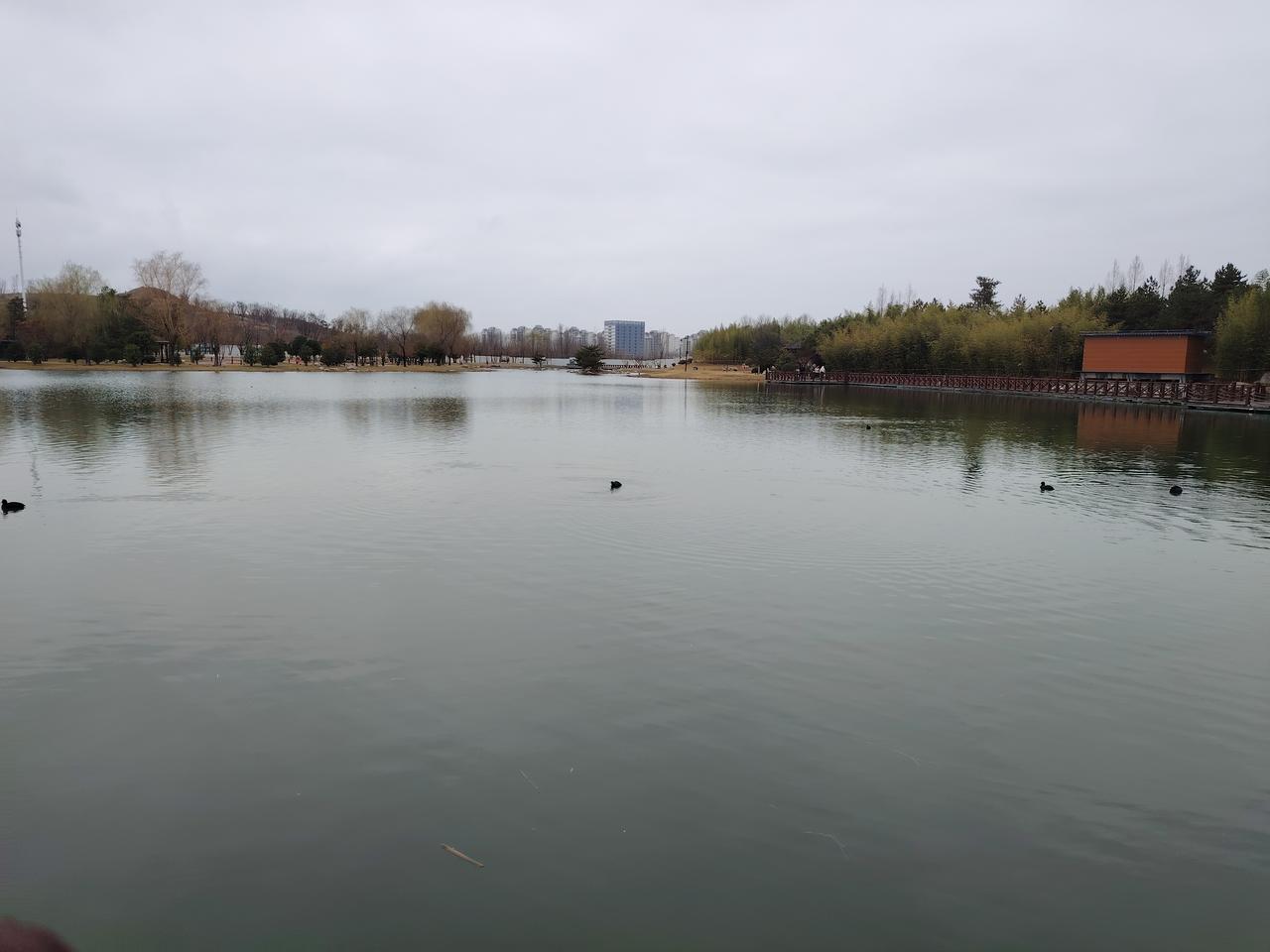 牟校长物质高配，认知低配，心态标配。有人说，人到中年要物质低配，认知高配，心态