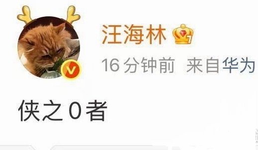 海林公主再次向肖倌人宣战