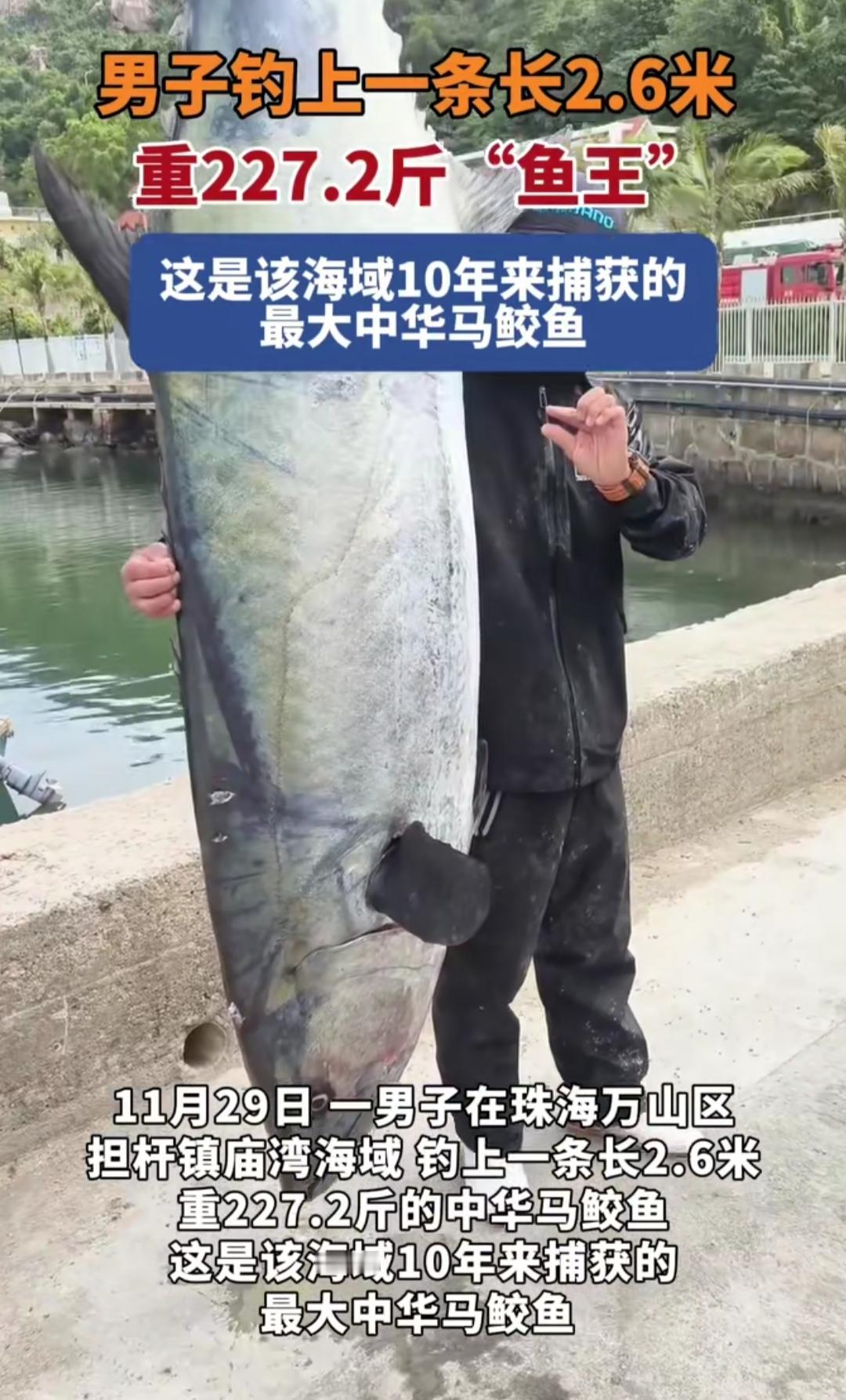 今天刷到珠海庙湾海域的视频，鸡皮疙瘩都起来了——一位钓友的钓竿弯得像要崩断，脚下