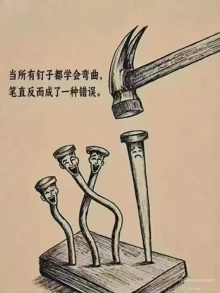 看到这张图你想说什么？