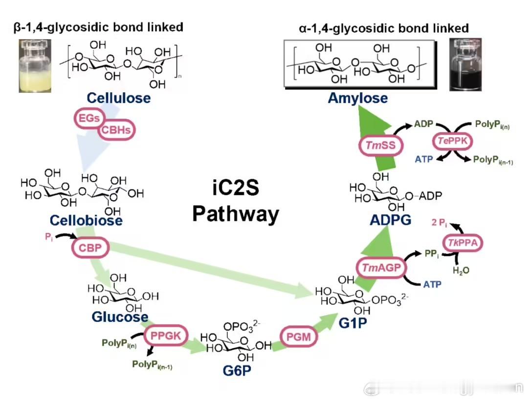 中国科学院天津工业生物技术研究所11月20日消息，该所体外合成生物学中心