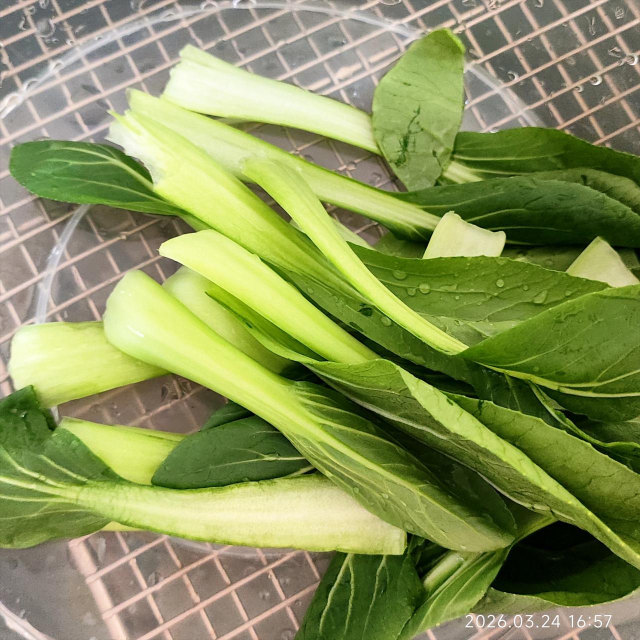 你们洗绿叶菜，有没有这个毛病？喜欢吃绿叶菜，但洗起来好麻烦。因为我都是一