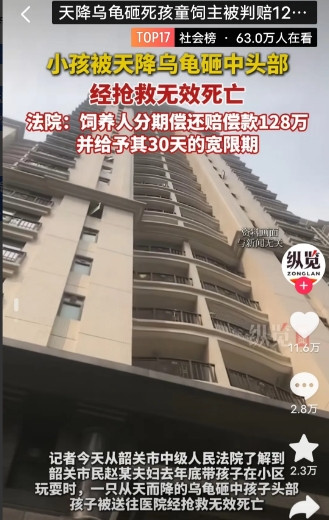 一只小乌龟也能让人倾家荡产！广东韶关，赵某夫妇带着孩子在小区楼下玩耍，结果呢，突