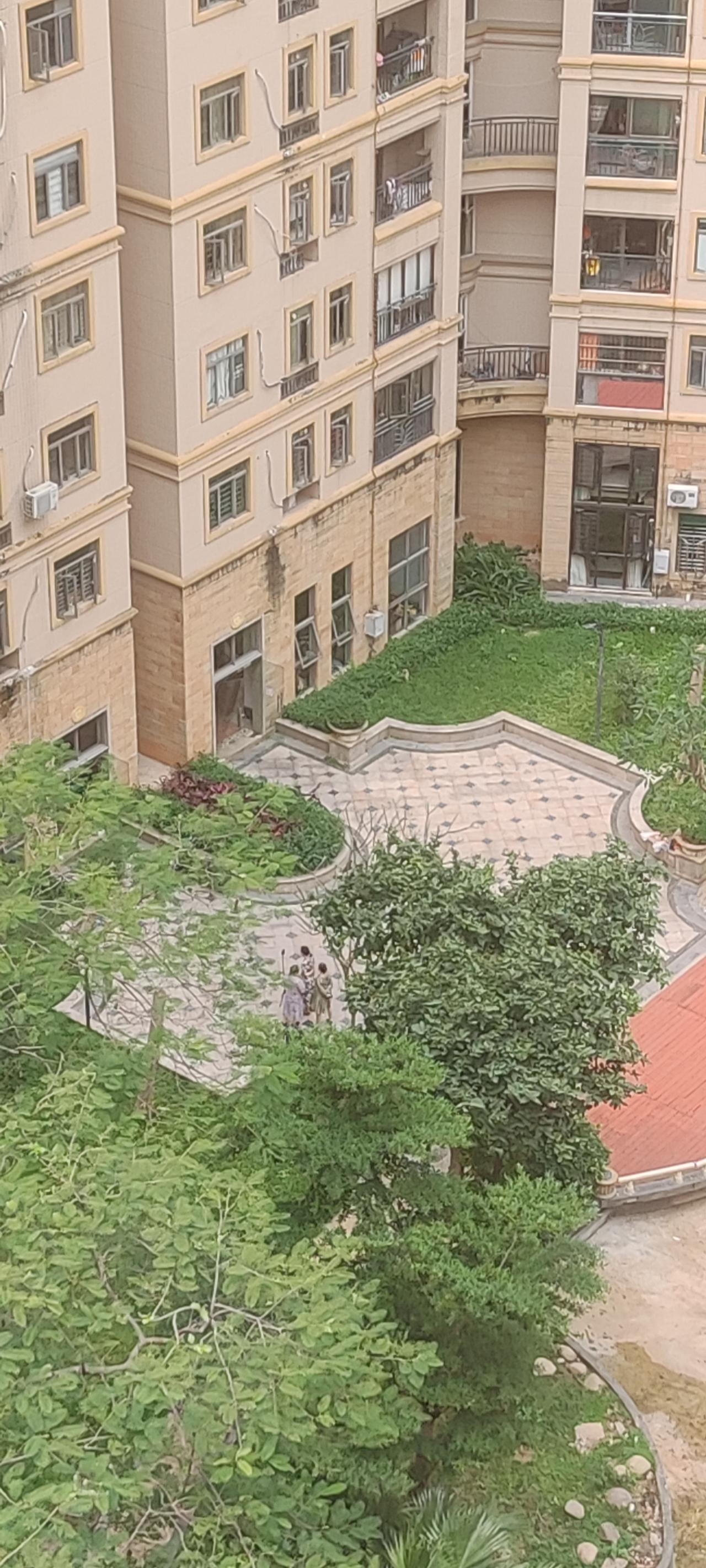 楼下传来悦耳的音乐声，几位大妈在跳广场舞，不知怎的，我总融不进去。在我们小区，