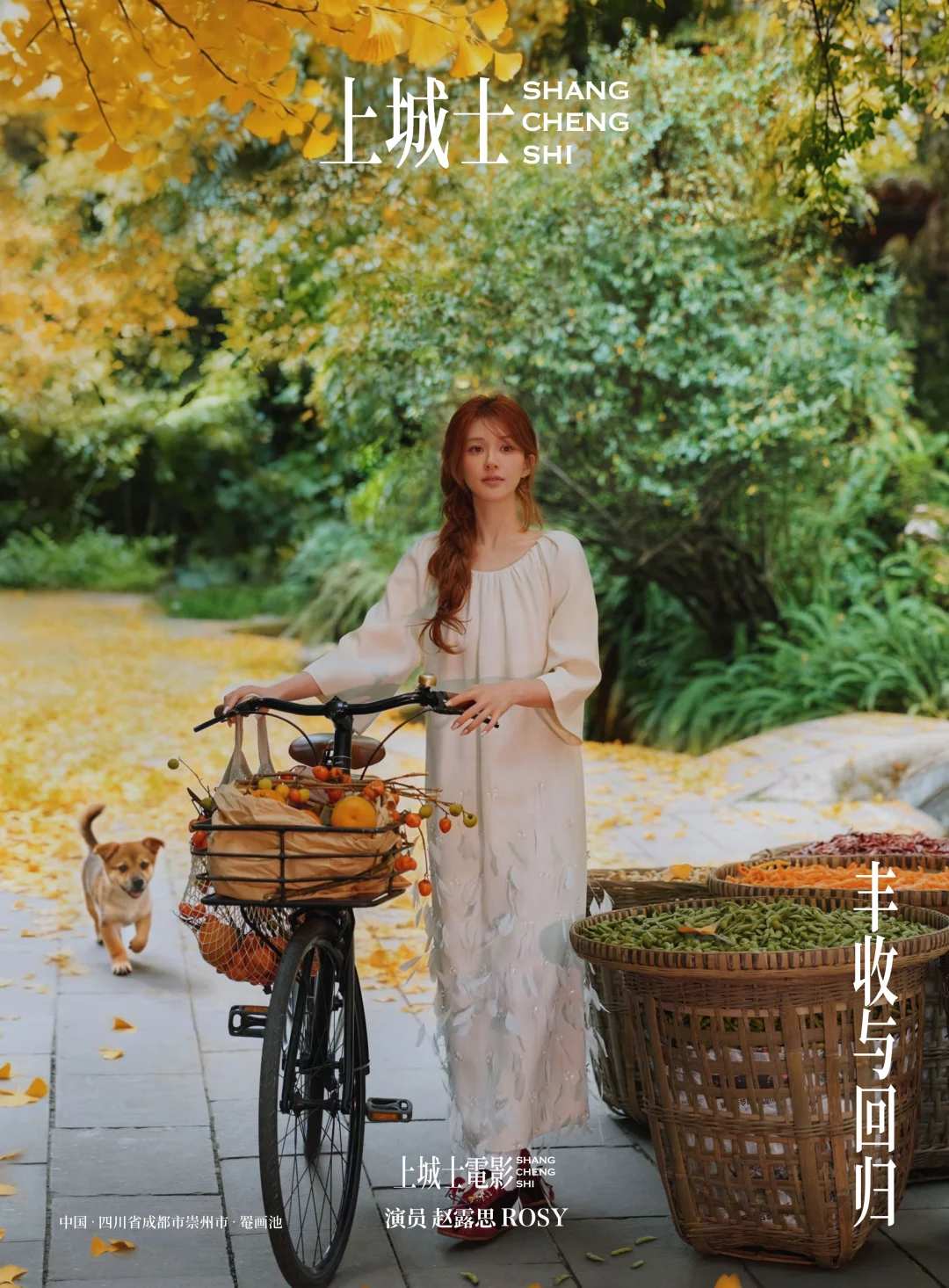 上城士眼中的成都 vs 我眼中的成都