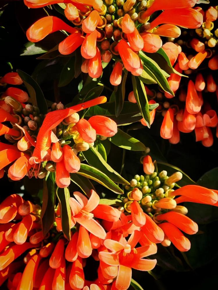 上海一位母亲，把700万元遗产全给了儿子。女儿得知后，与母亲断绝了来往，6年过去