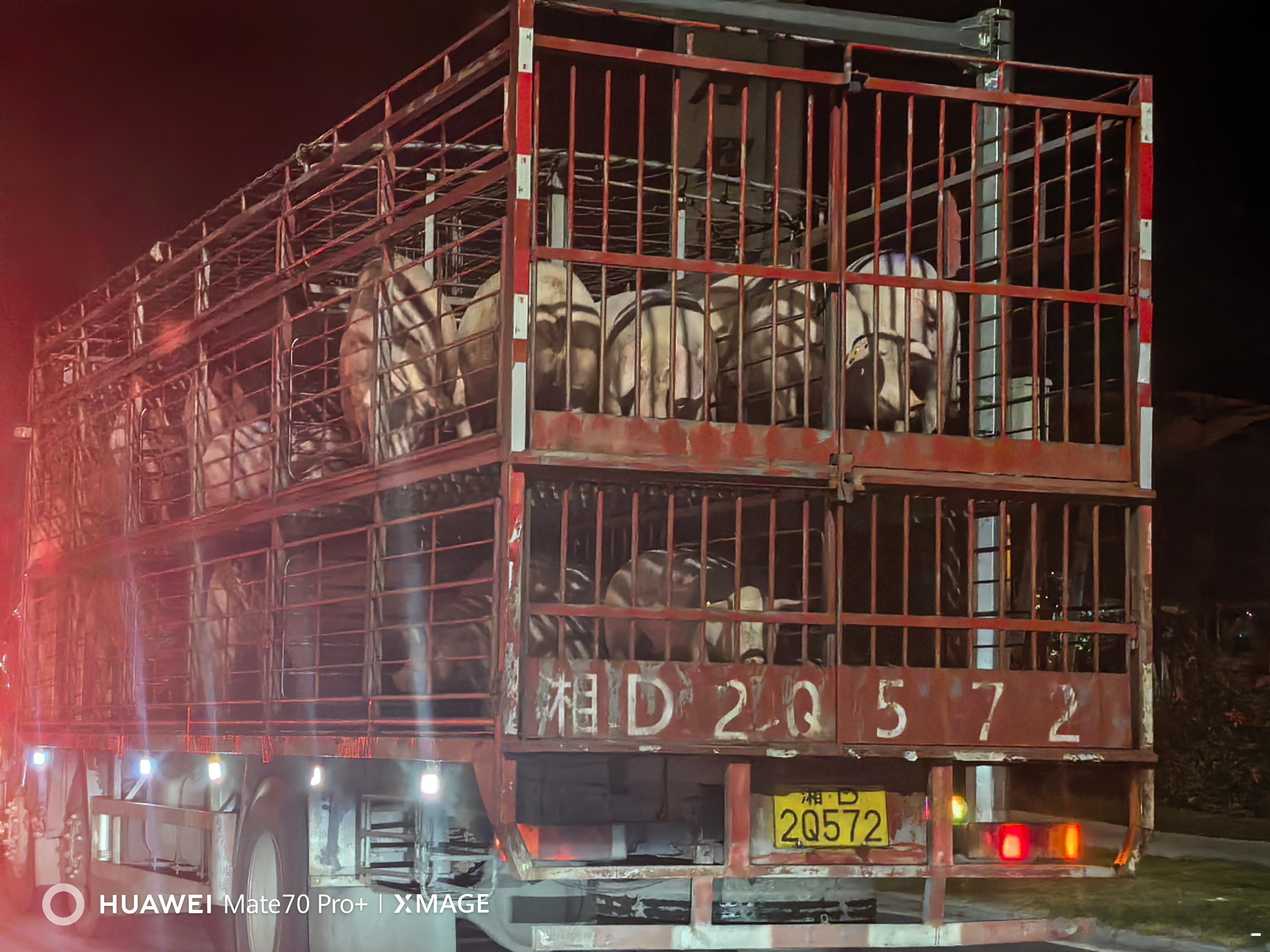 领克那个事情吧，车的语音控制固然欠考虑。但是驾驶员难道就一点问题没有吗？把所有的