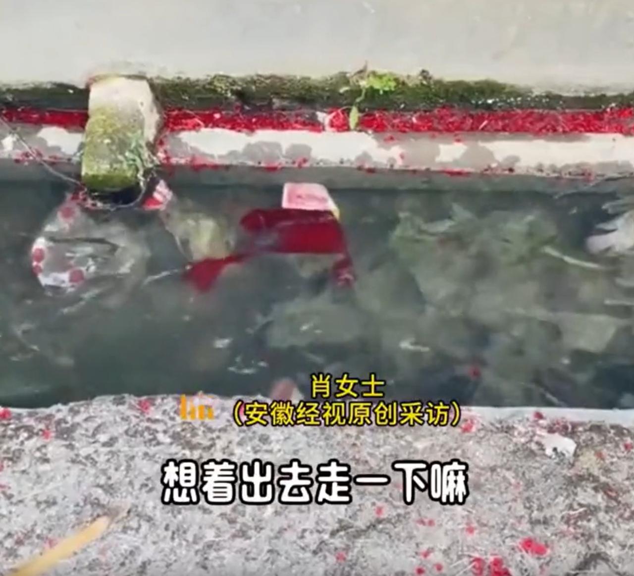 这下解释不清了！广东，女子过年吃完饭后到外面散步，路过水沟时，突然发现水里好像有