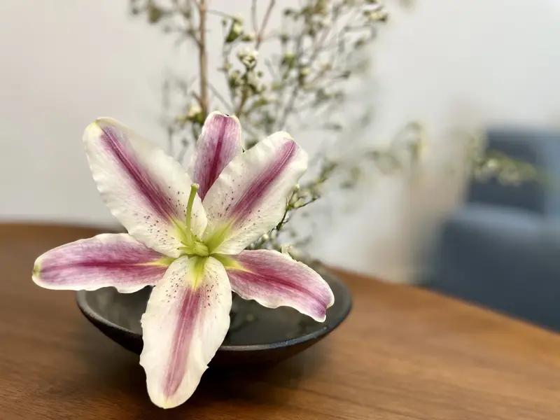 同学群里，有个叫王晶的，混得相当不错。他开了家公司，身价高达几千万。然而，他从不