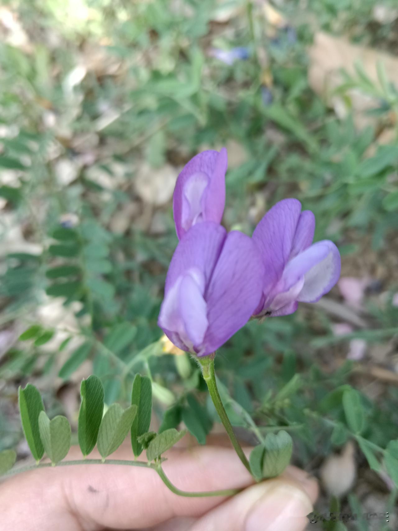 老祖宗传下的“识人术”，看人八九不离十1.说话总挑刺的人，日子过得大多不顺