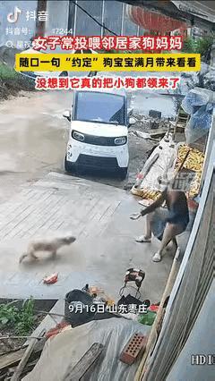 “真成精了？”山东枣庄，一女子经常投喂邻居家的小狗，得知小狗怀孕后，女子和小狗“