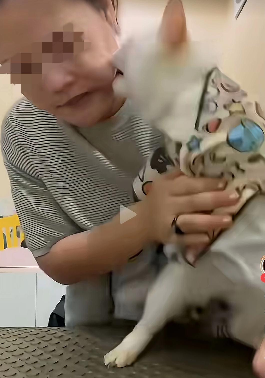 无论多么宝贵的宠物，只要它故意咬人了，就没有活下去的机会了，这应该是人和动物的边