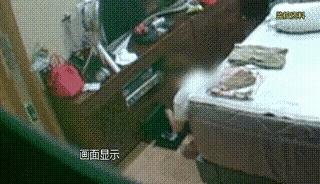 上海，一女子惊讶的发现，她买了20多条内裤，竟然有6-7条不见了，紧接着，她又发