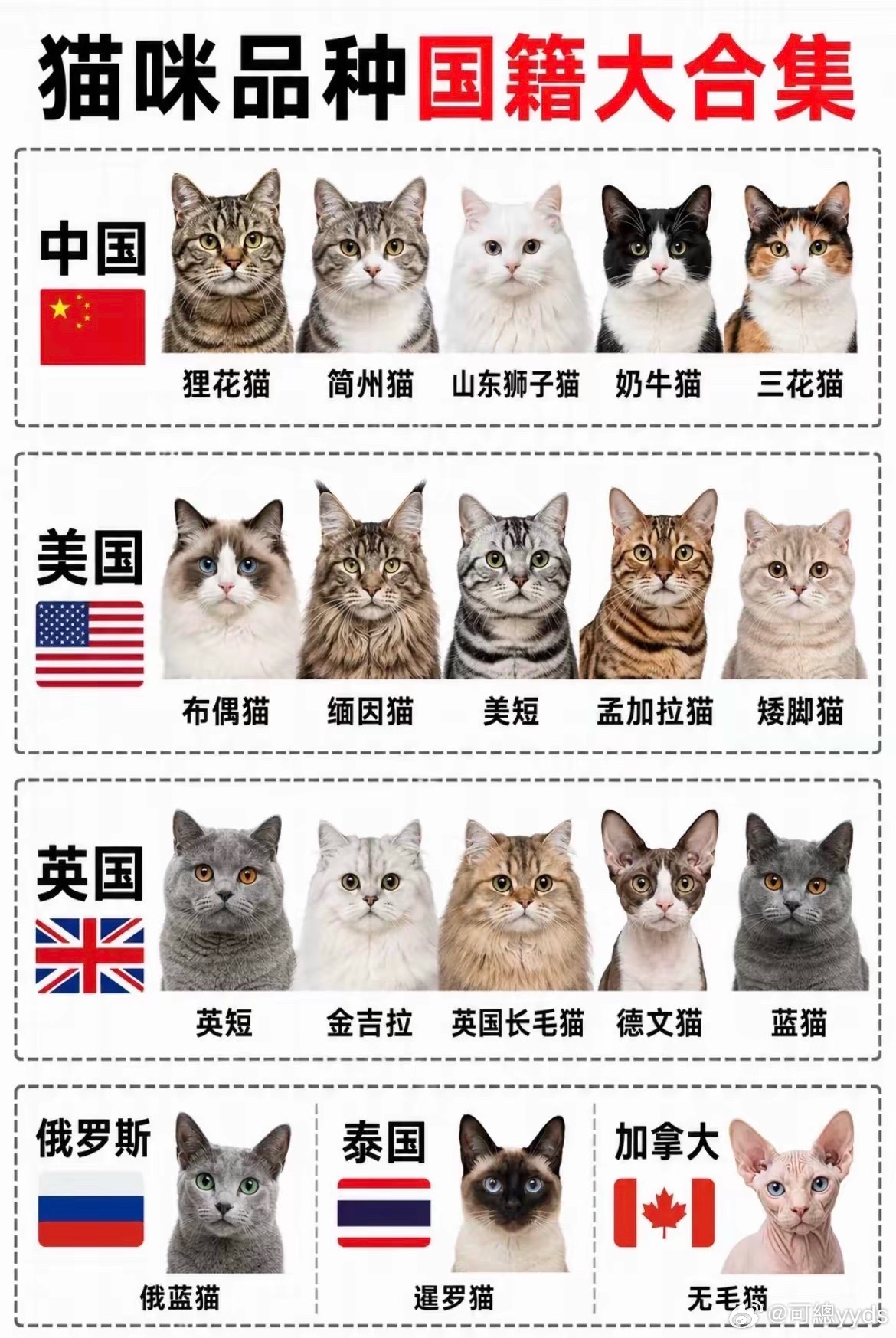 你家猫是哪个国家的？要是美国🇺🇸猫就饿它几顿制裁它[笑着哭]​​​