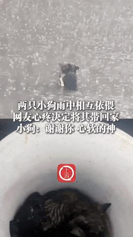 “太暖心了！”湖北恩施，一男子开车回老家，回来的时候遇上大暴雨，在一个弯道处男子