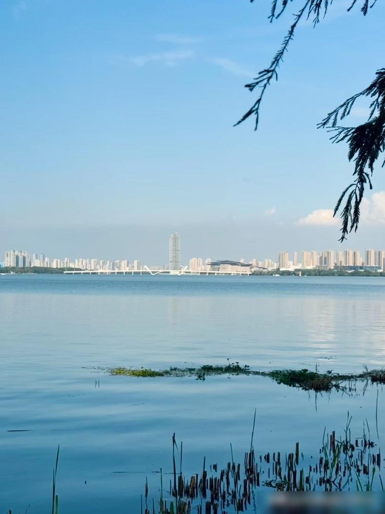 人过了五十以后，男人最大的炫耀其实是这七种：我今年五十三，前阵子跟老伙计们聚