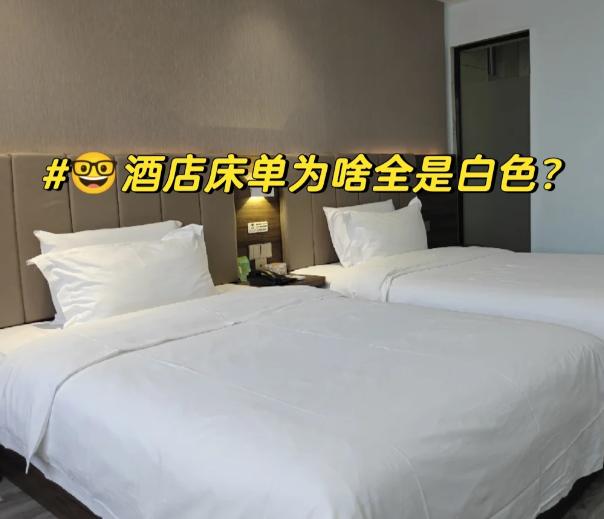 我朋友在五星级酒店做了五年客房部主管，上个月终于辞职了。我请他吃饭，他喝了点酒，