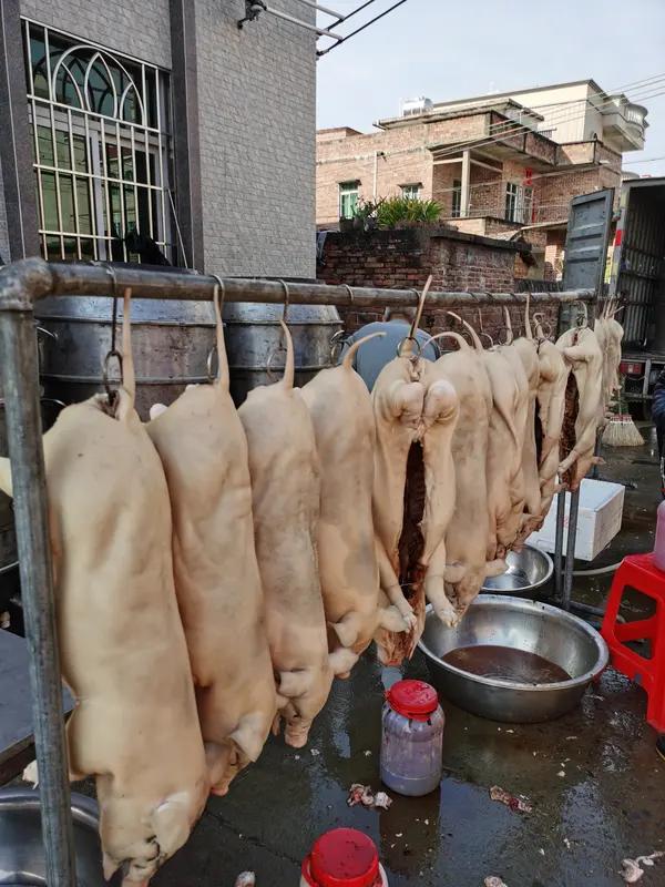 粤西最大批发屠宰市场开业12月22日，粤西最大的批发屠宰市场——湛江润康三鸟批
