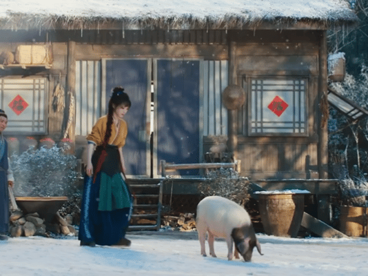 田曦薇也太适合樊长玉这个角色了！《逐玉》开播，她扛猪的镜头直接惊艳众人，四十斤的