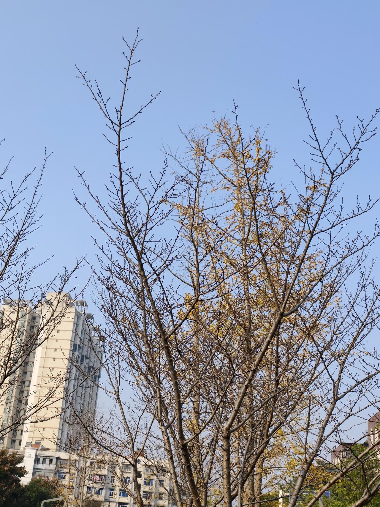 为啥要政审,政审有用吗?政审是必须的，而且全世界所有的国家都是这样做的，美国所有