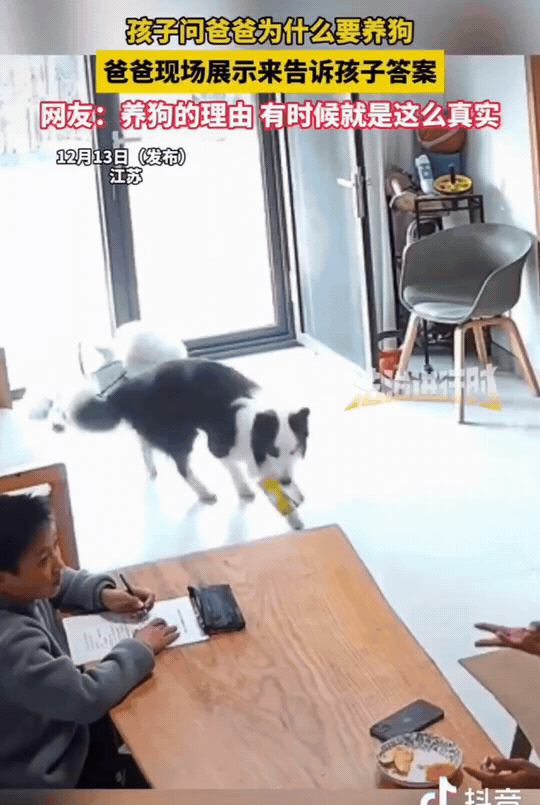 江苏，男孩问爸爸：“为什么要养狗？”爸爸说：“你还是别知道了，我怕你扎心。”男孩
