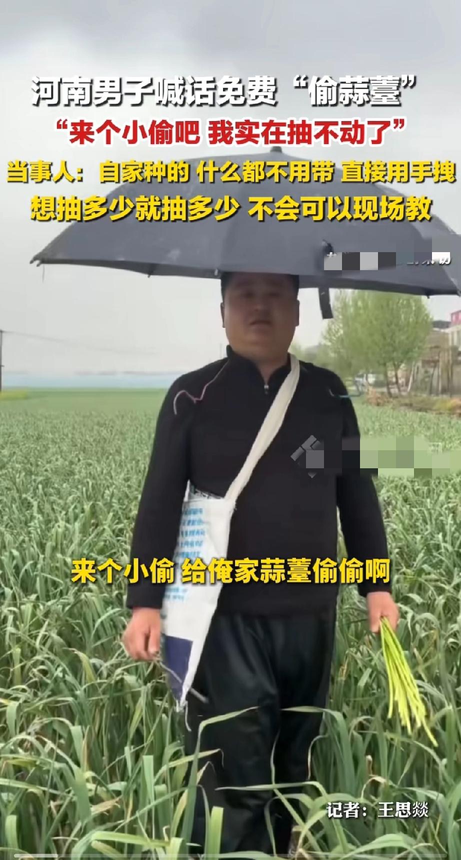 河南有个种大蒜的大哥，太会了！他家蒜薹到时间必须得抽，不抽蒜头就长不大，一