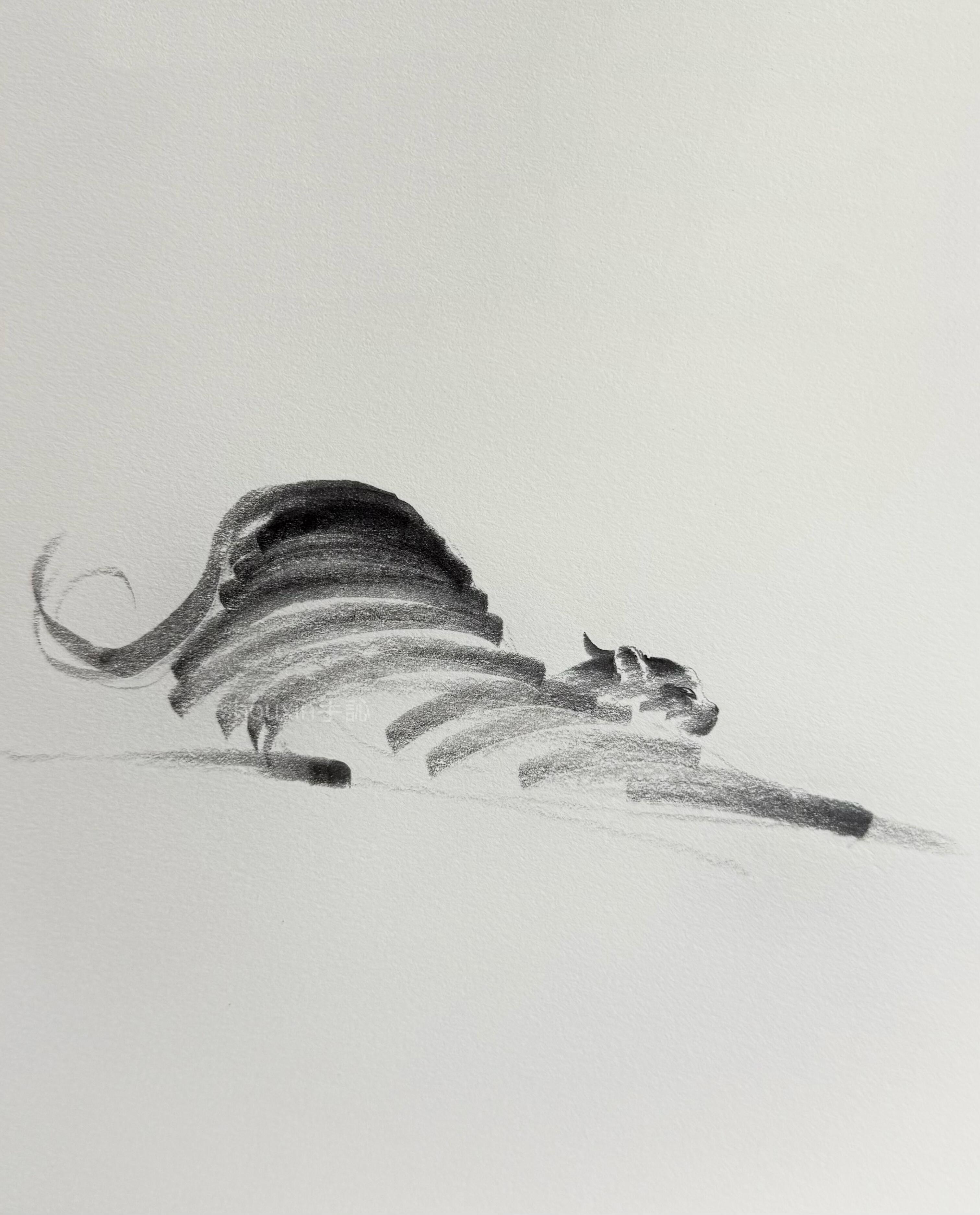 画猫，几条线就够了​​​