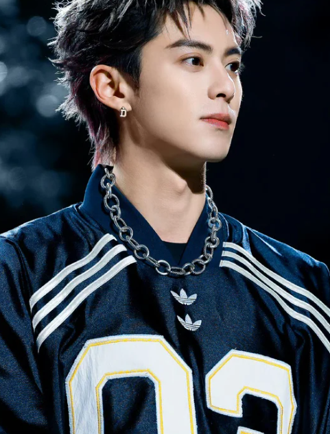 王鹤棣暴怒冲上前打掉面前拍摄者手机助理紧忙上前拉住他！具体情况是，王鹤棣结束