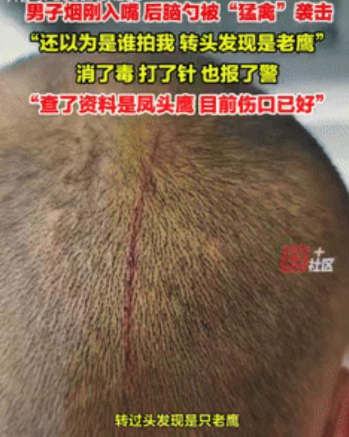 飞来横祸！5月6日，江苏苏州，男子烟瘾犯了，于是下车到路边抽烟，不料刚点着火，后