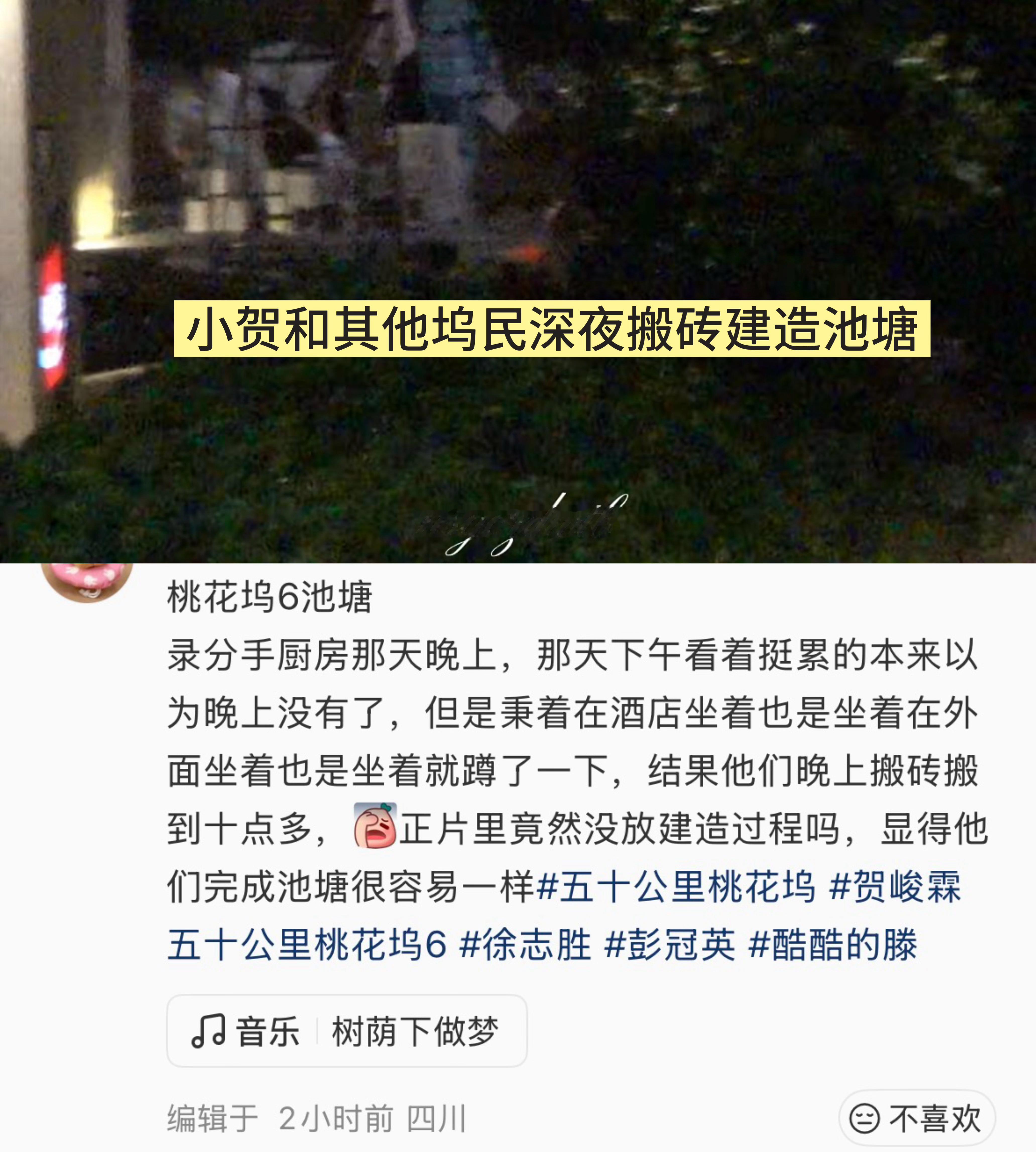 桃花坞这一季不在山清水秀的地方，而是在城市中心且没什么景观的工业园区，但是大家也