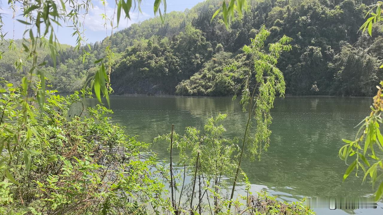 西安灞桥区白鹿原鲸鱼沟，是一处风光秀美的自然秘境。鲸鱼沟本称荆峪沟，因地壳抬升造