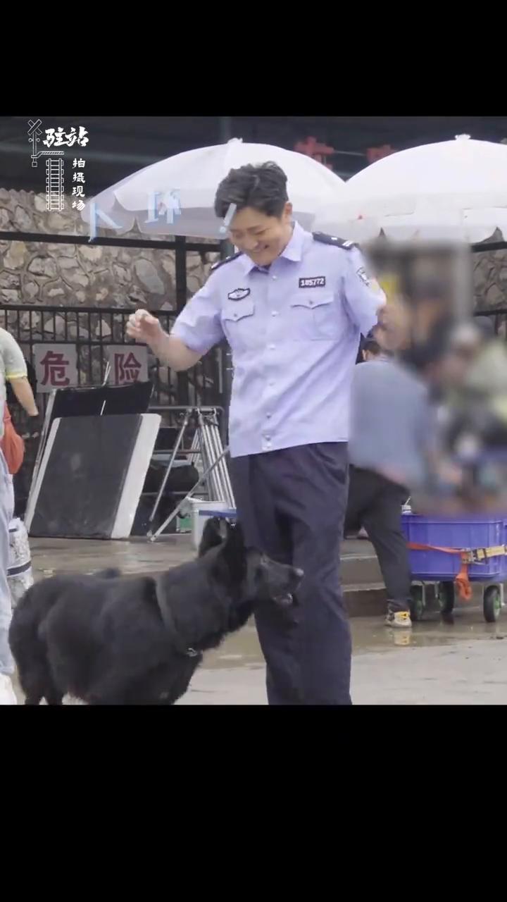 它真是个警犬吗？一个星期就熟(悉)了，快要溢出屏幕的羡慕。基本一天就熟(悉)了，