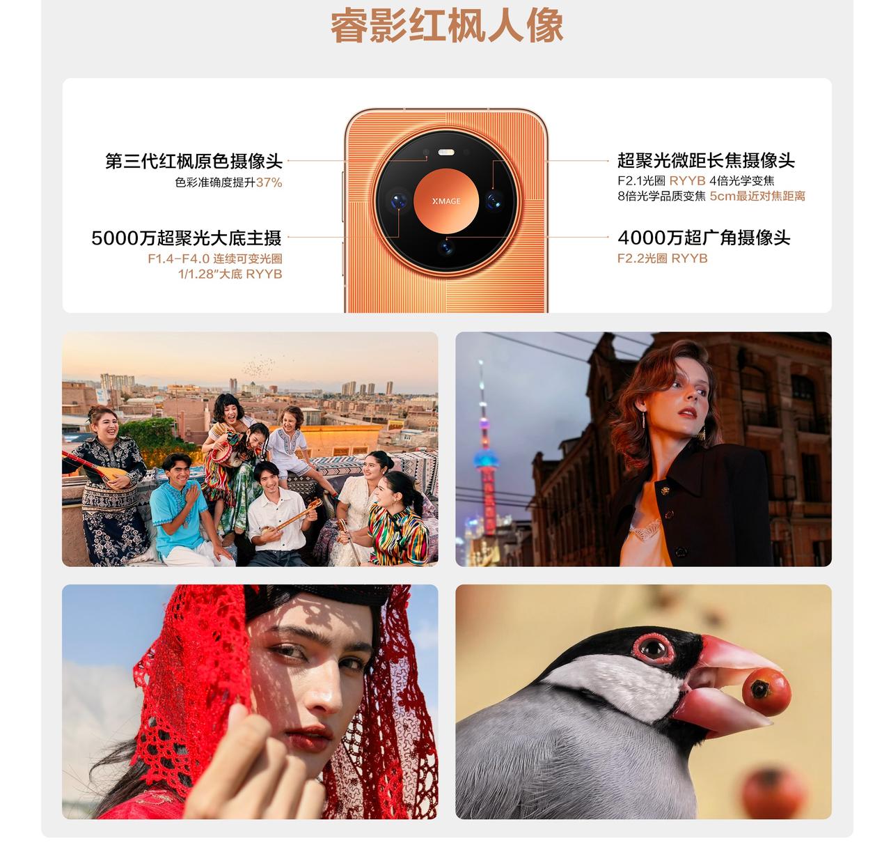 如果打算入手华为Mate90系列，先看看全系五款机型定价，找准适合自己的那一款