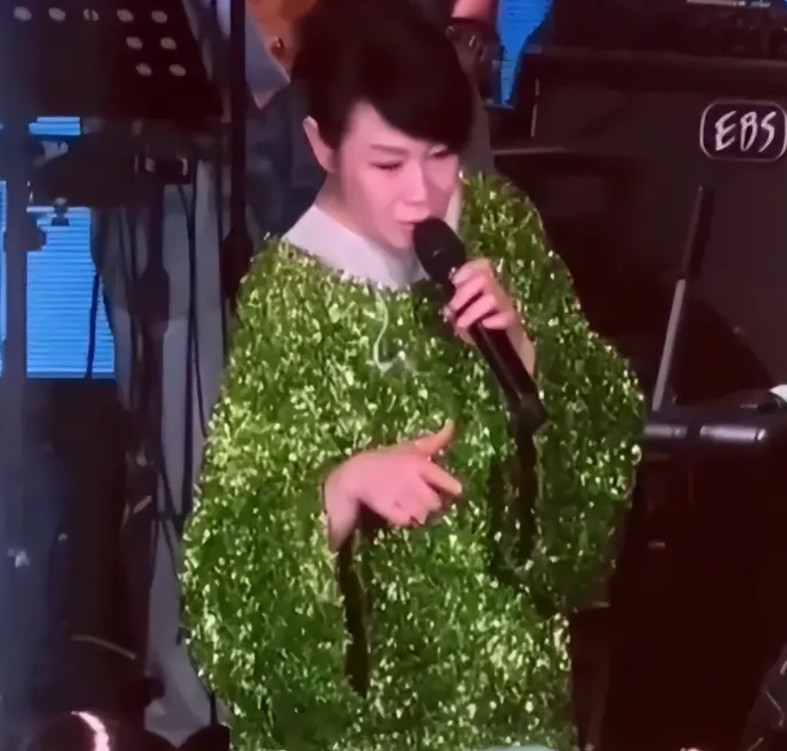 关于刘若英，我特地去查了查，没想到，她最近在汕头演唱会上遇到一对姐妹点歌。