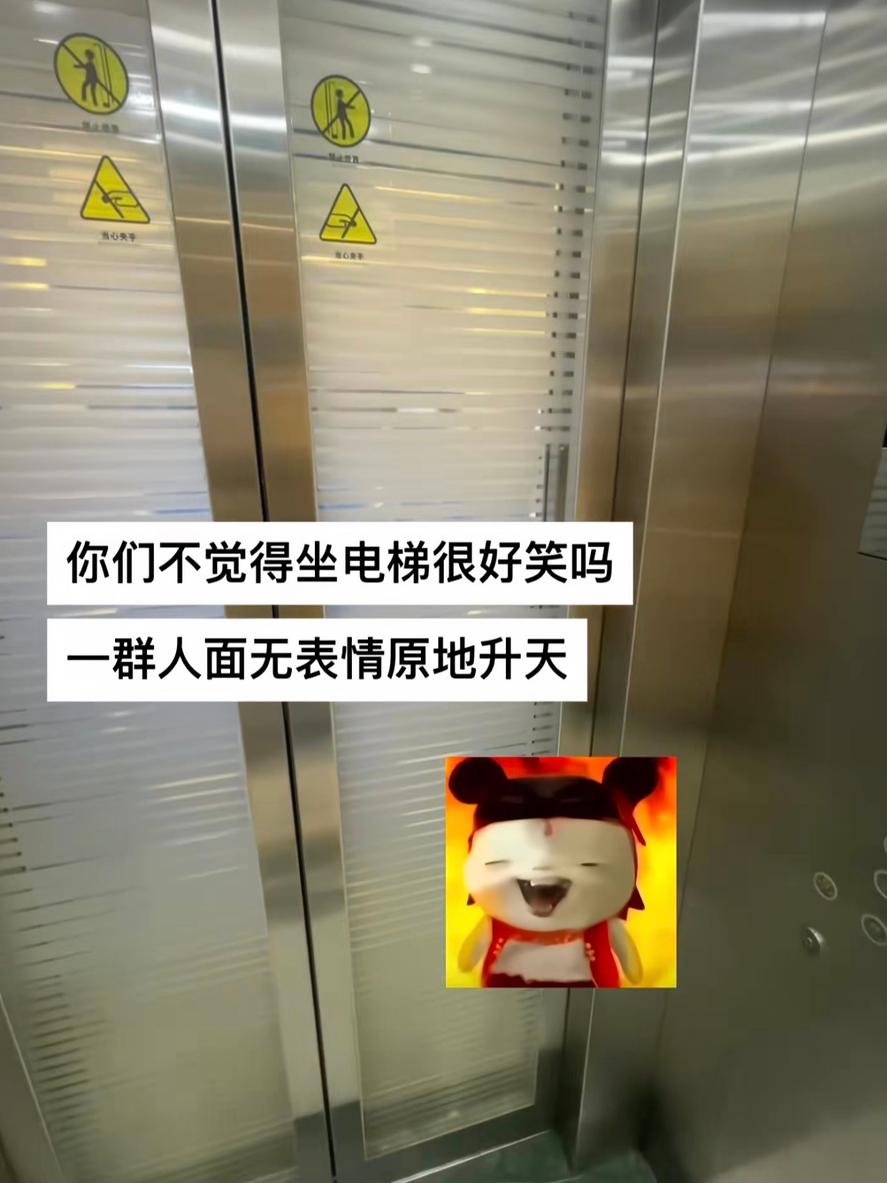 请在评论区里找出一句人话