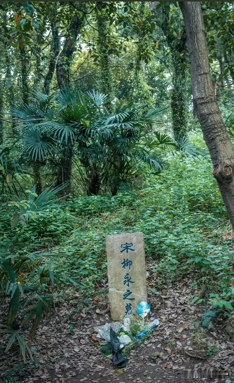 柳永，字耆卿，是北宋仁宗年间的一位大词人。他出身读书人家，本来也该走科举当官的路