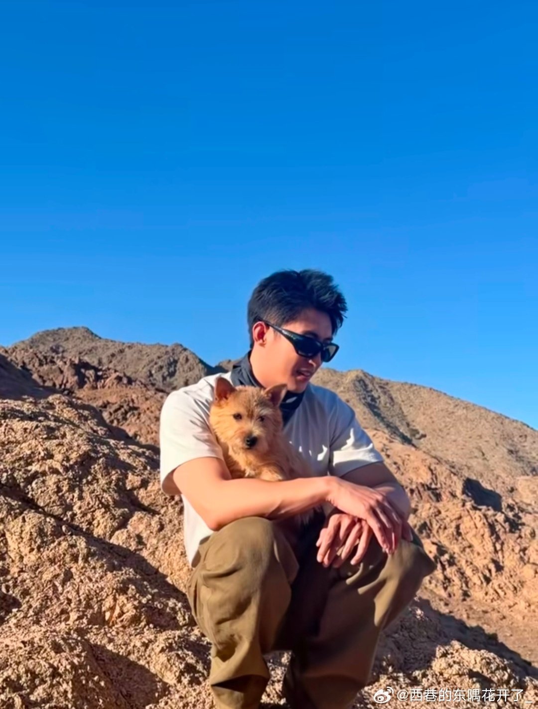 #黄景瑜有好朋狗了#这张照片里有两个人很萌​