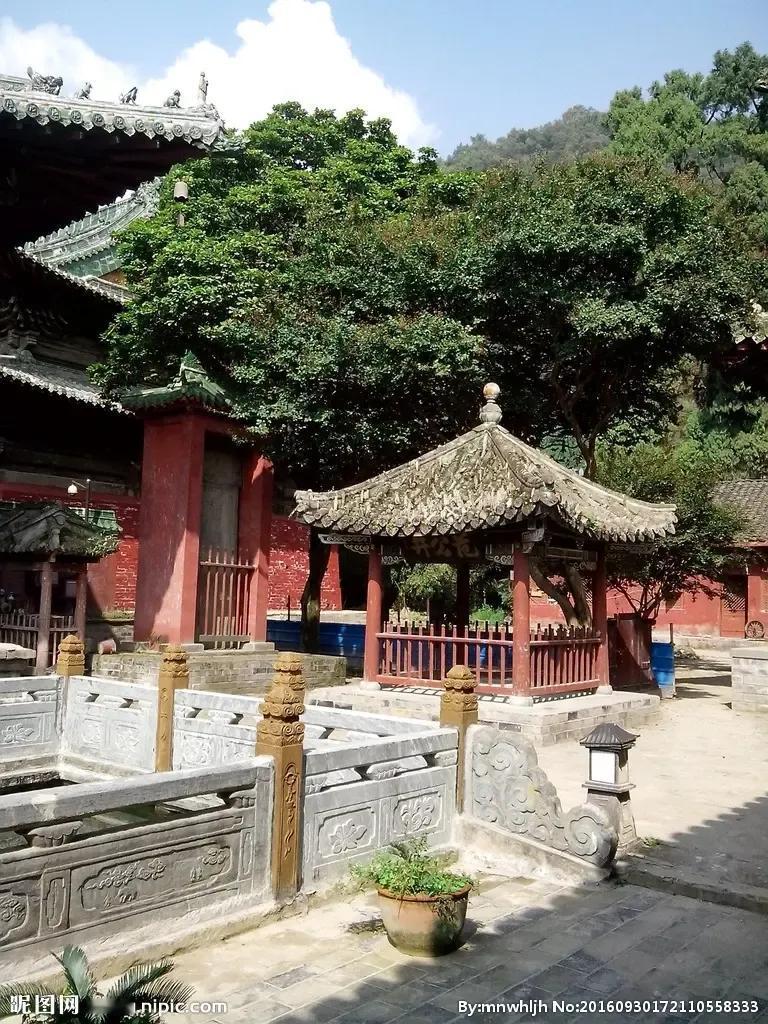 中医视角下脾虚分型与调理的辩证逻辑中医素有“脾胃为后天之本”的理论，脾的运化