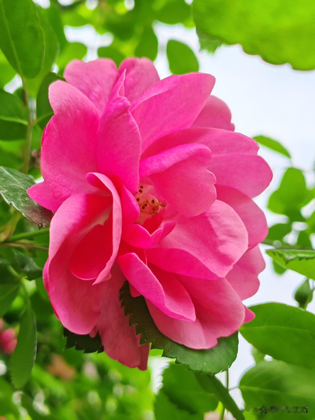 旺自己的10条纪律，能遵守5个以上，一定能越来越顺，越来越旺：1.不说“郁