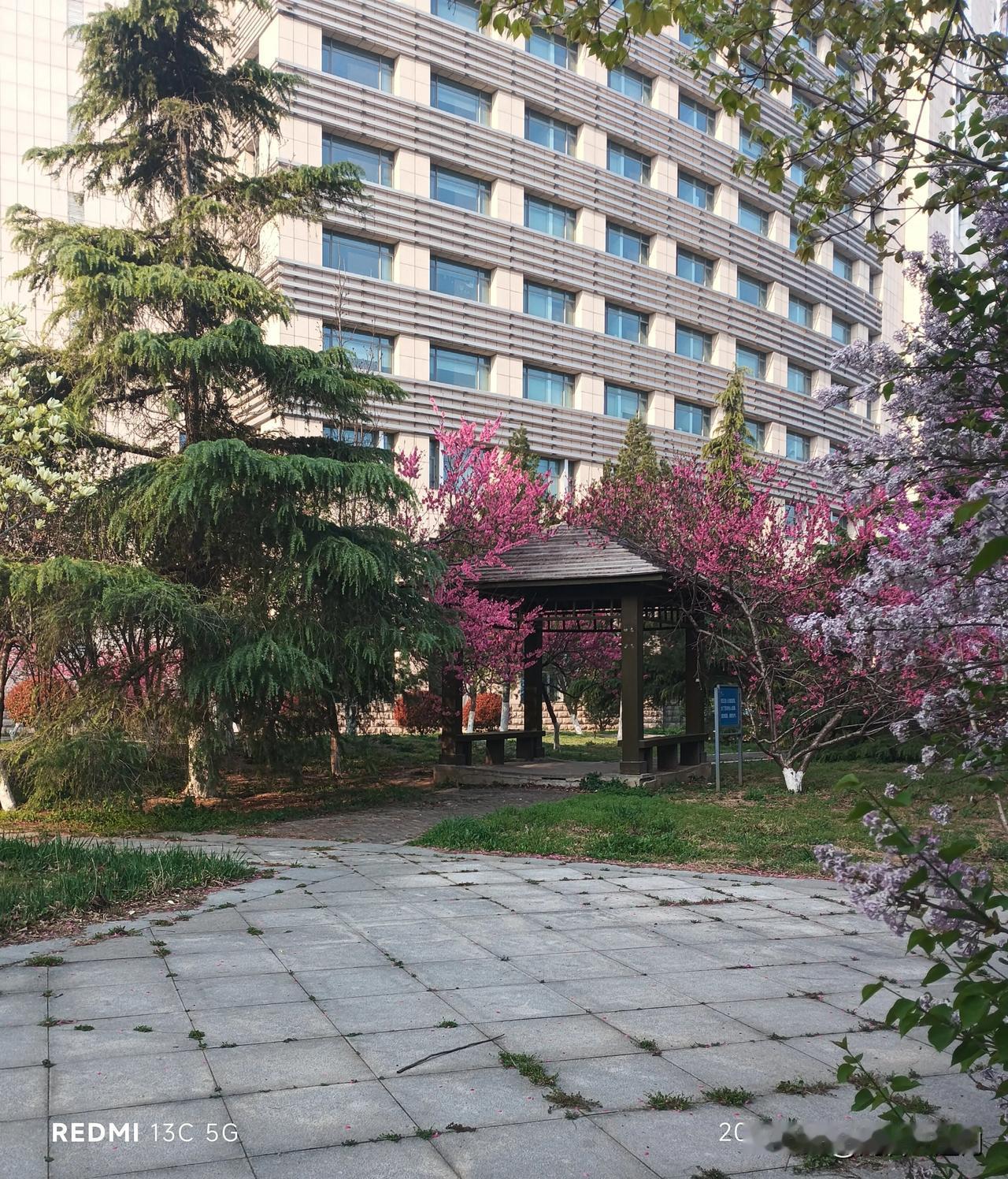 割痔疮的经历与感受（十）手术已经21天了，大便还是一如既往的剧疼！每天都是“如