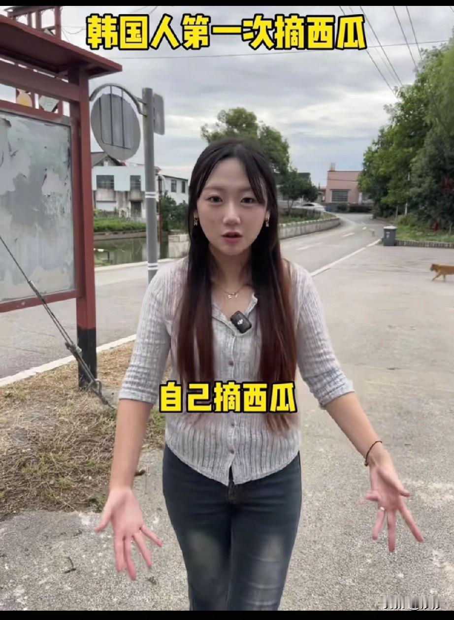 韩国美食博主来中国，她不去菜市场买西瓜，而是直接来种瓜的大棚看一看，她想要