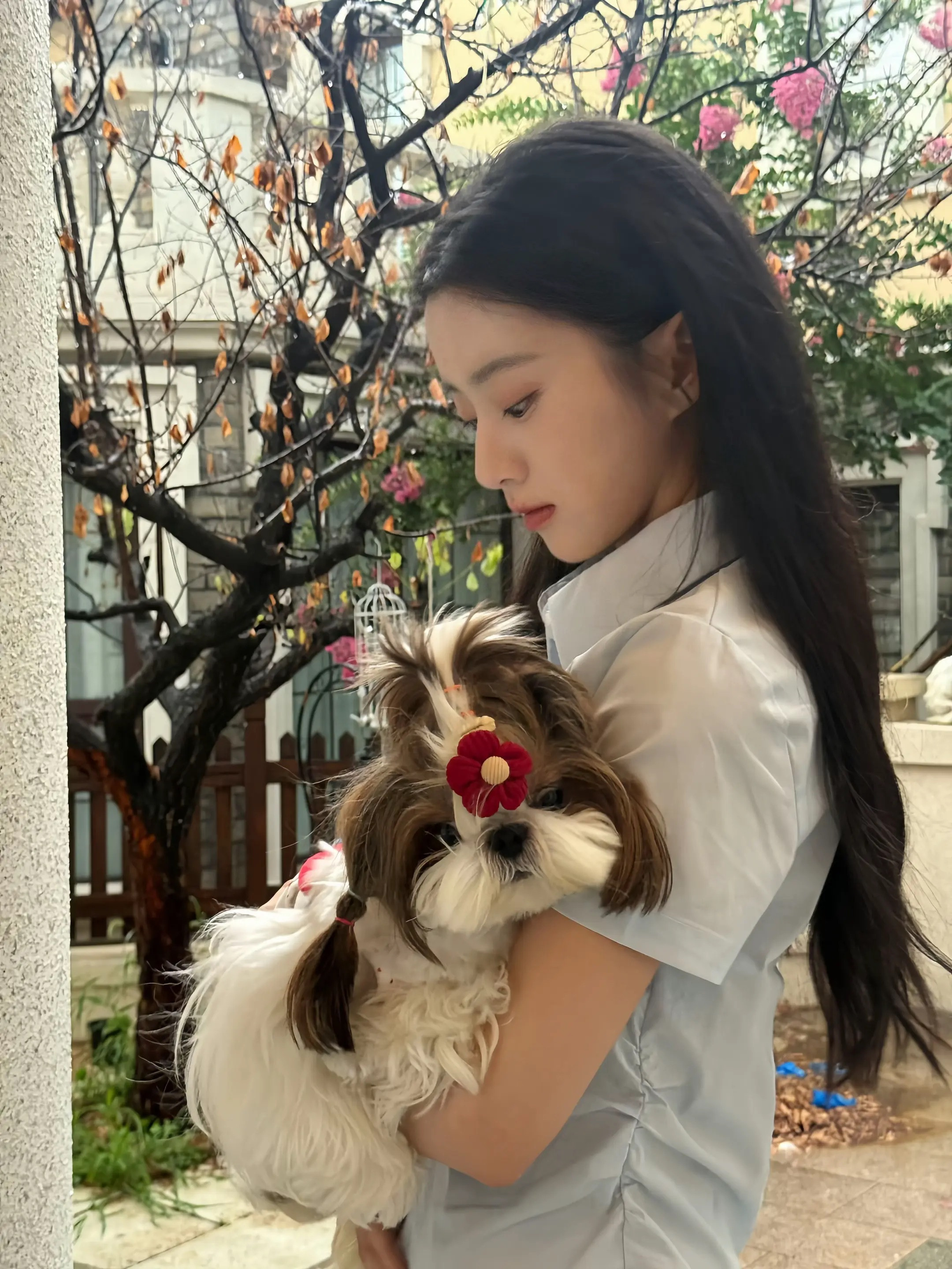 世界上怎么会有包上恩这样美丽又恬静的脸蛋….（这一刻感觉女娲的偏心到达了顶峰🩰