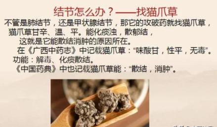 中医中的“特效药”，用好了它们，能助你散尽体内包块！1.有结节，就找猫爪草